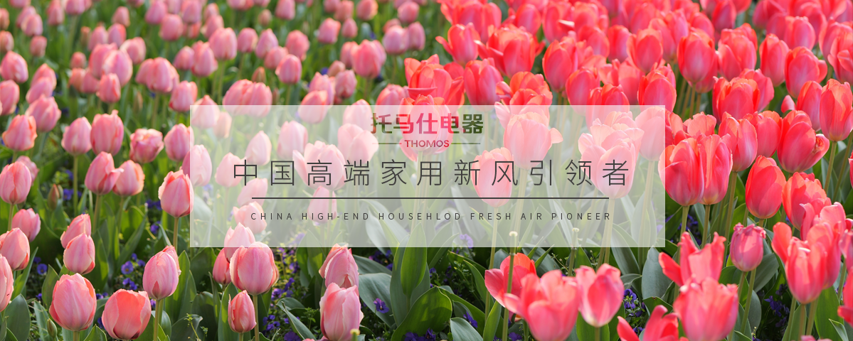 香港六台宝典最新资料