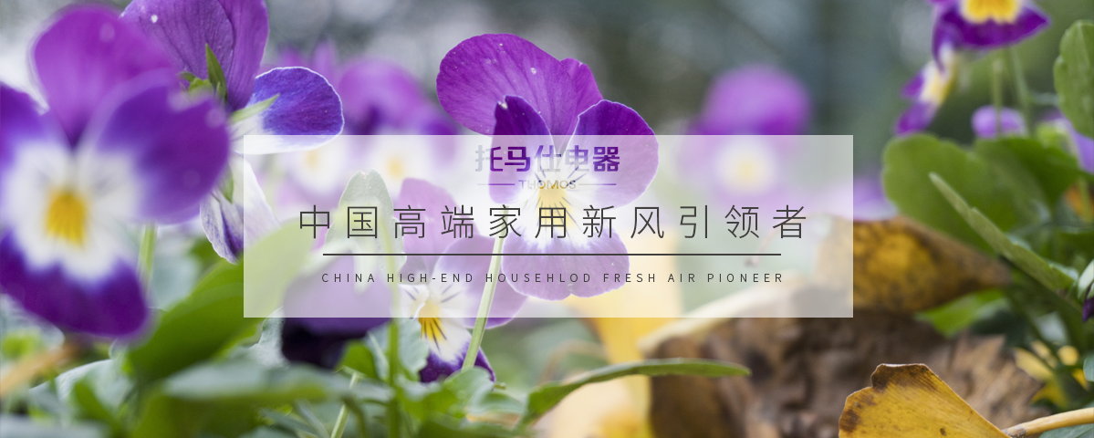 香港六台宝典最新资料