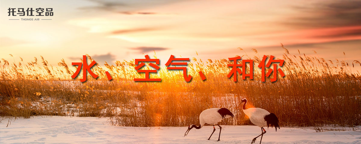 香港六台宝典最新资料