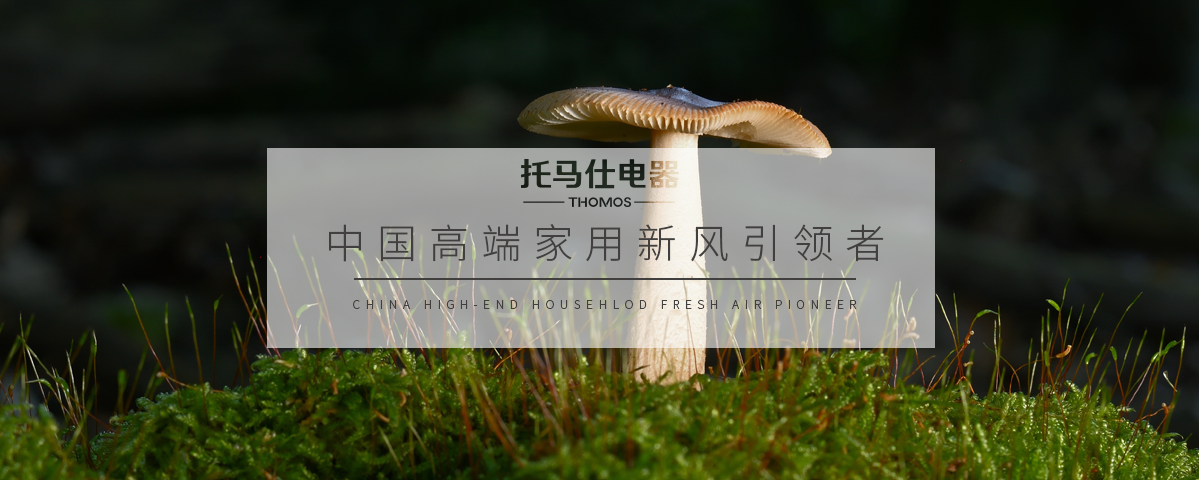 香港六台宝典最新资料
