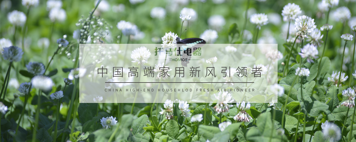 香港六台宝典最新资料