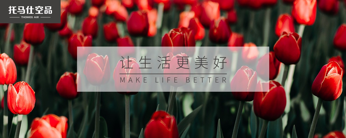 新风系统 新风系统