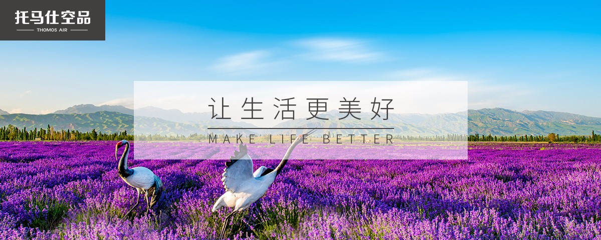 新风系统 新风系统